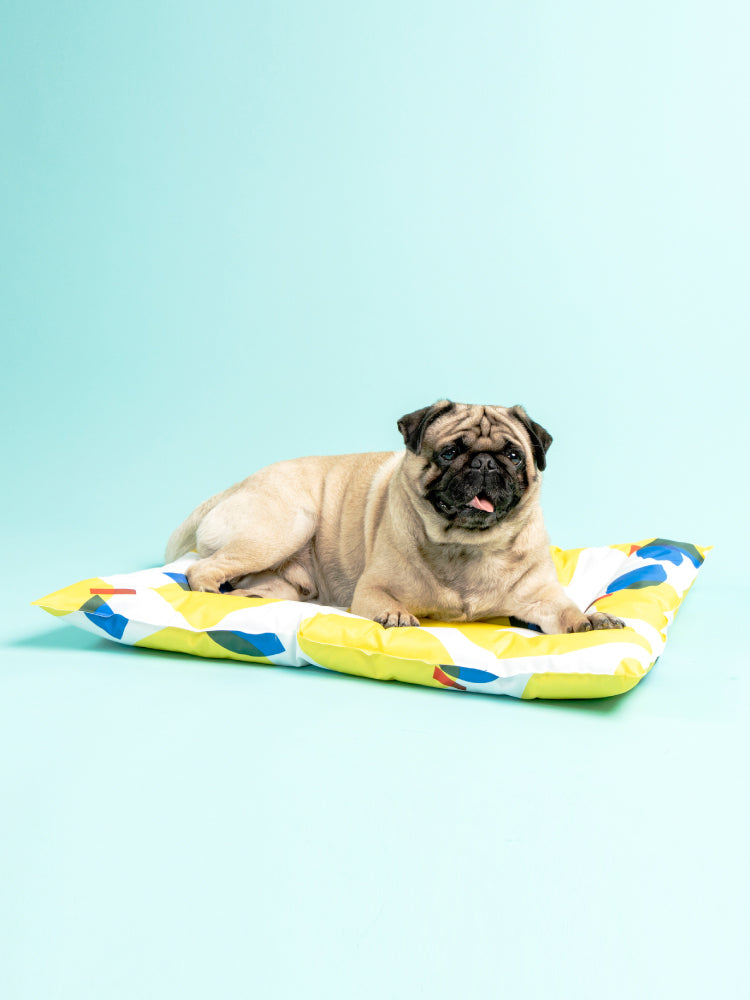 Pet Ice Gel Cooling Sleeping Pad for Dogs